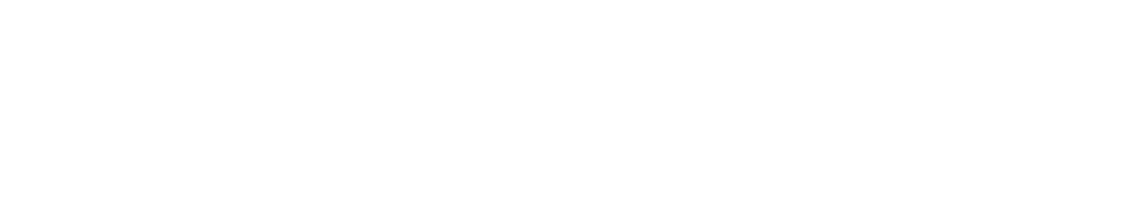 Hexagon_Voyansi_horizontal_white (1) (1)